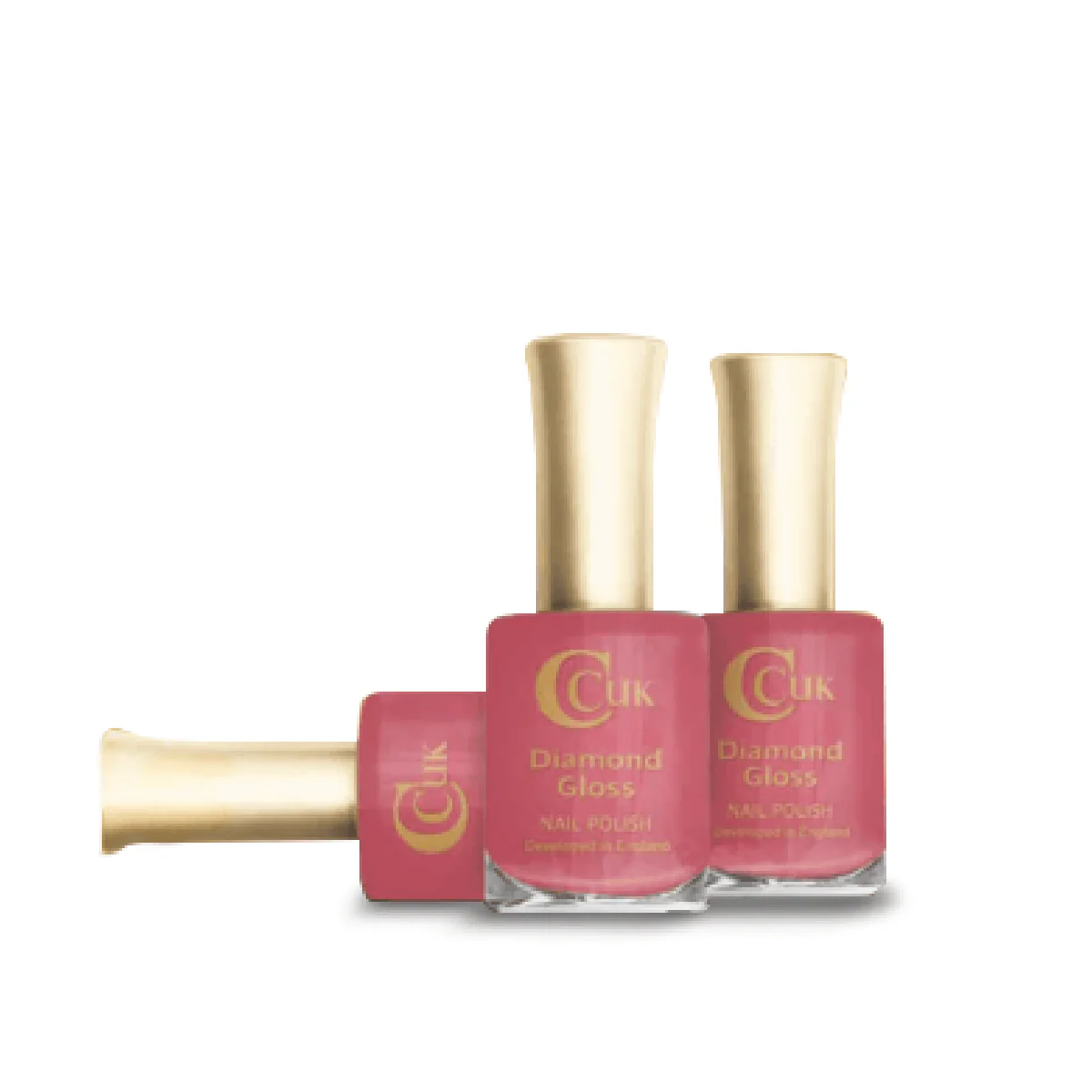 Holiday Earth Nail Polish Collection - Image 4