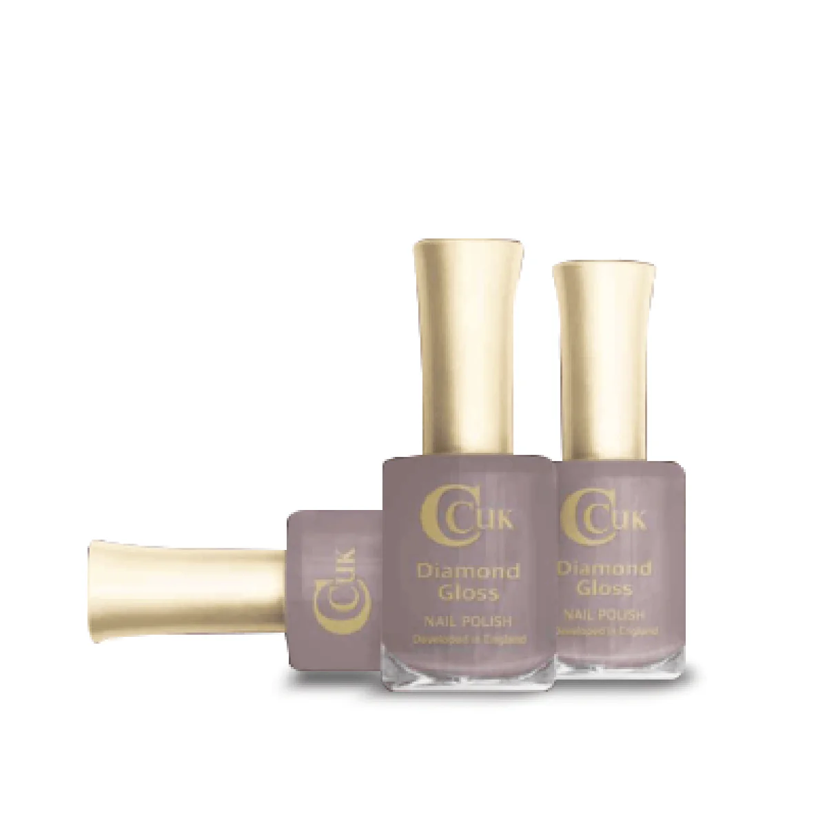 Holiday Earth Nail Polish Collection - Image 7