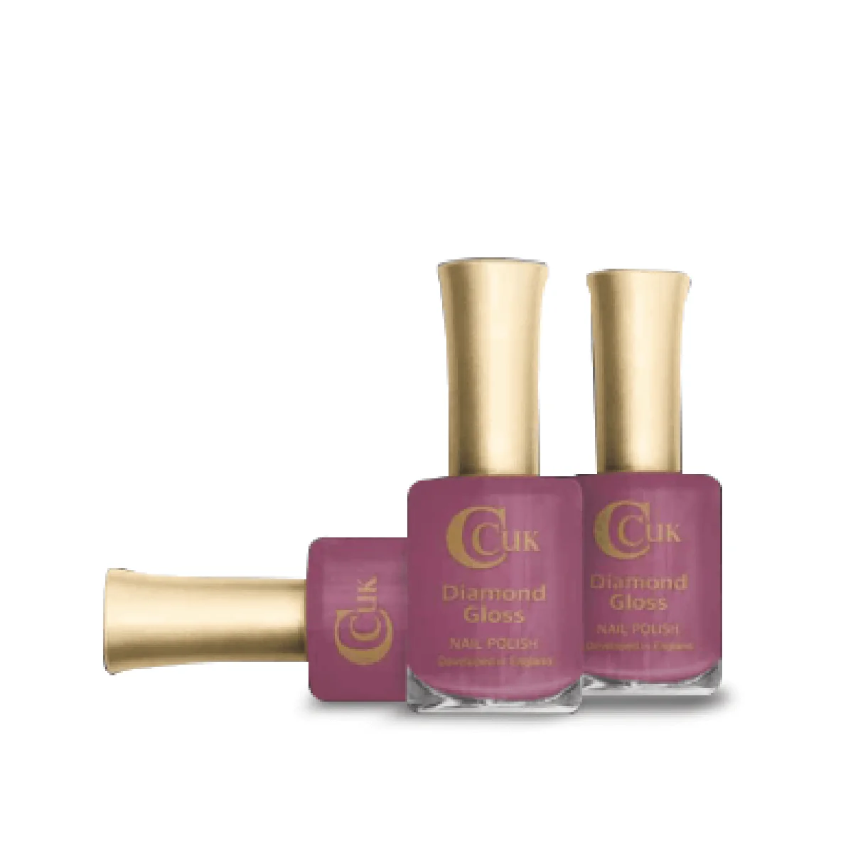 Holiday Earth Nail Polish Collection - Image 8